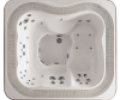 Спа бассейн Jacuzzi Profile PRO base Professional