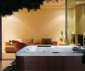 Joy Spa JY 8015