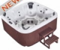 Joy Spa JY 8808