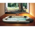 Спа бассейн Jacuzzi Delfi Pro Sound