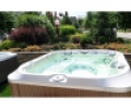 Спа бассейн Jacuzzi J-335