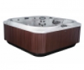 Спа бассейн Jacuzzi J-345