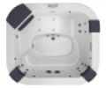 Спа бассейн Jacuzzi Delos Pro