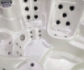Плавательный спа бассейн Swim Spa BG-6608