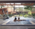 Спа бассейн Jacuzzi Virginia Professional