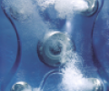 Спа бассейн Jacuzzi Virginia Professional