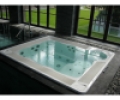 Спа бассейн Jacuzzi Virginia Professional
