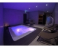 Спа бассейн Jacuzzi Virginia Professional