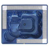 Спа бассейн Jacuzzi Virginia Professional