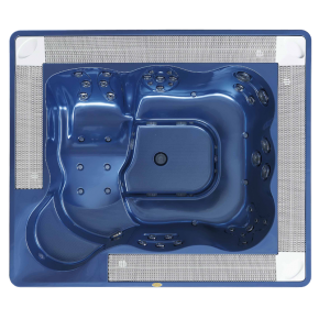 Спа бассейн Jacuzzi Virginia Professional