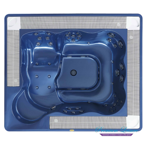 Спа бассейн Jacuzzi Virginia Professional