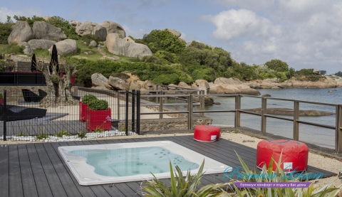 Спа бассейн Jacuzzi Virginia Professional