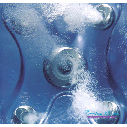 Спа бассейн Jacuzzi Virginia Professional